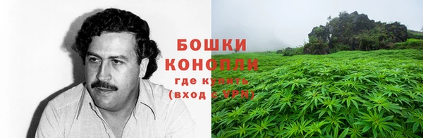 стафф Дмитровск