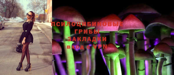 мдпв Дмитриев