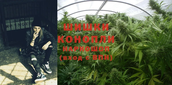 мдпв Дмитриев