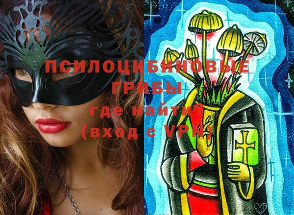 стафф Дмитровск