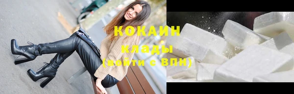 мдпв Дмитриев