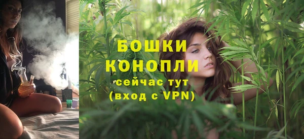 стафф Дмитровск