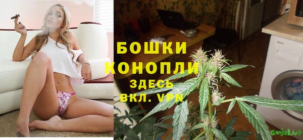 стафф Дмитровск