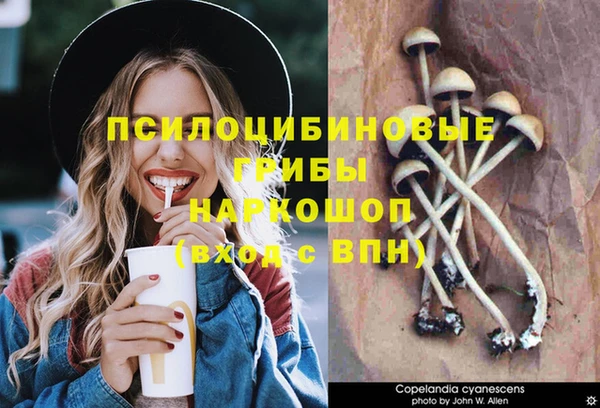 дмт Нея