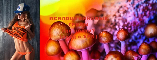 стафф Дмитровск