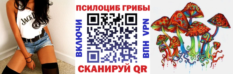 OMG как зайти  Новая Ладога  Галлюциногенные грибы мухоморы 